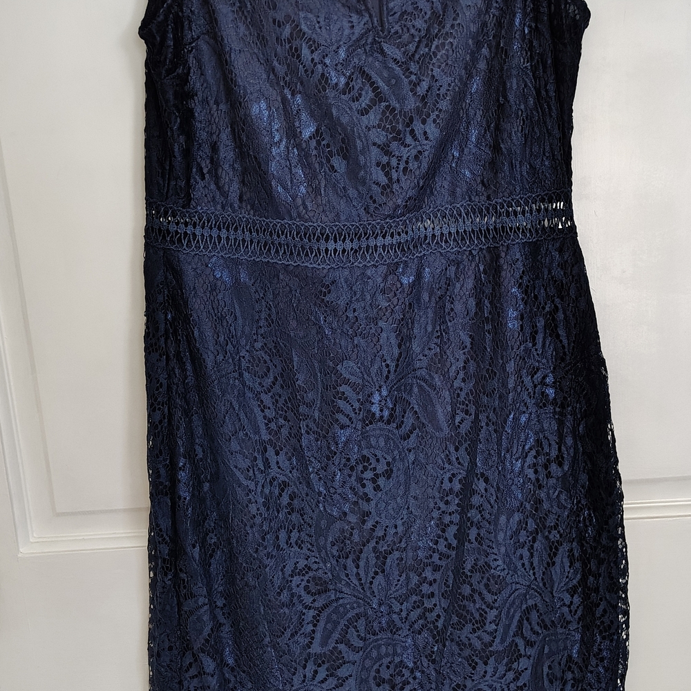 Elegant Navy Lace Dress